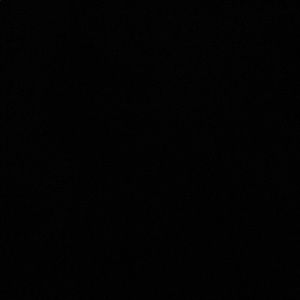 Meet your Posher, Jada